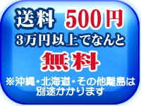 送料なんと200円